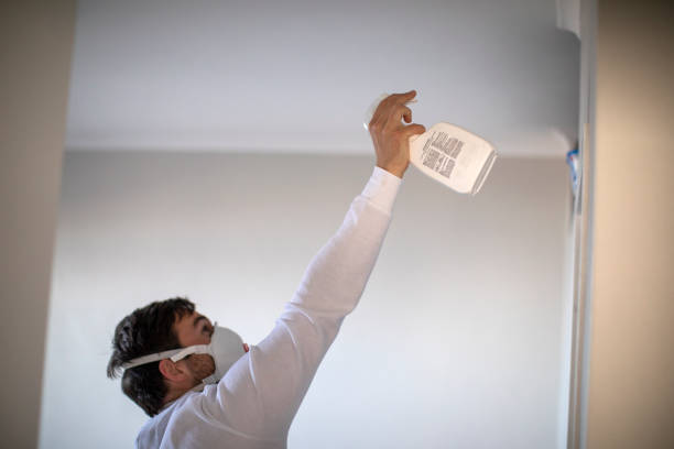 Best Mold Inspection  in Columbus, NE